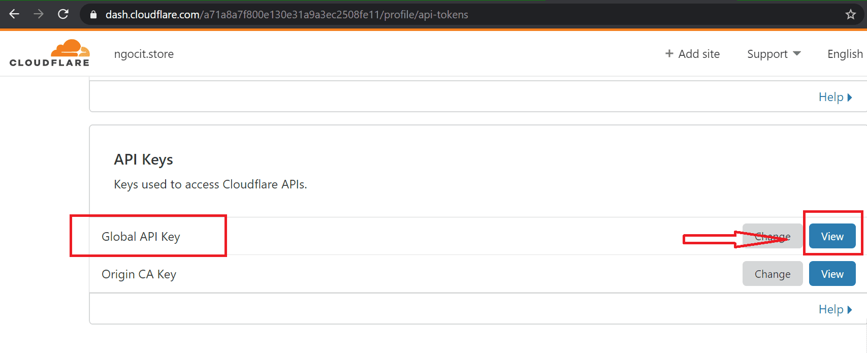 021 global api key